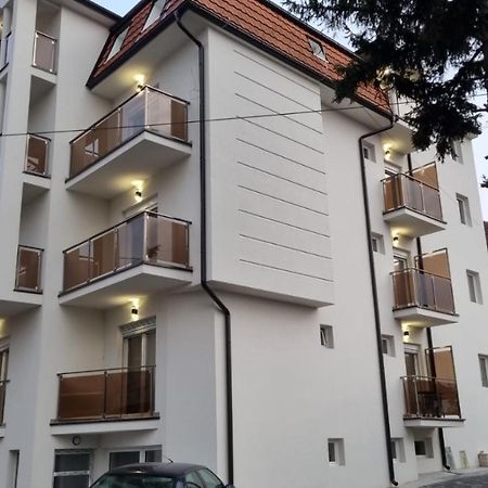 Vila Pcelica Petra Soko Banja Exterior photo